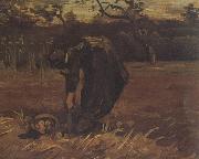 Vincent Van Gogh Peasant Woman Digging Up Potatoes (nn04) painting